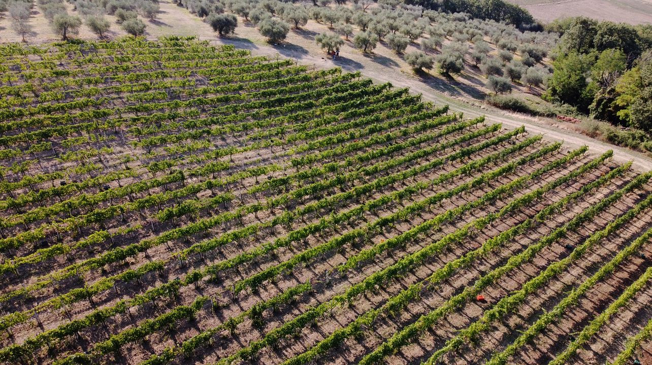 Casali del Toppello Winery