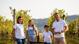 Vini Olivetta