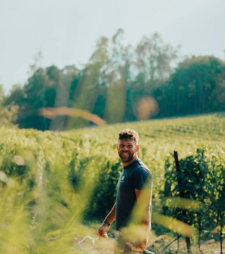 Salurnis Winery