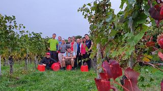 Primorska Wine & Vineyard Journey at Štokelj