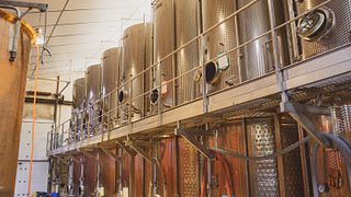 Visita e degustazione di vini allo Château Mouresse