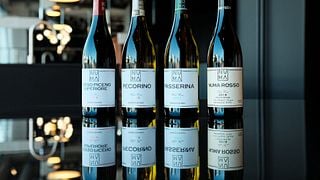 Degustazione dei vini del Piceno alla Cantina NUMA