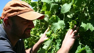 Degustazione e visita a Benincasa