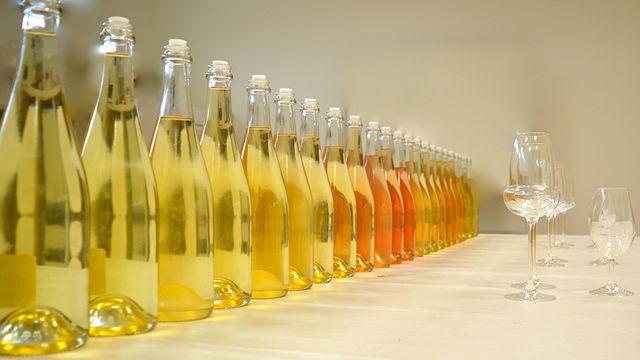 Degustação de champanhe e tour na Champagne Delong Marlene