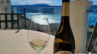 Visita e degustação de vinhos na vinícola Rizman
