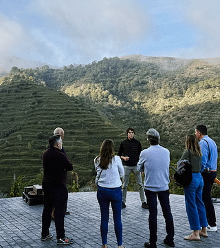 Dégustation de vins + Visite de la cave et des environs