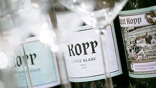Degustazione di vini presso Weingut Kopp