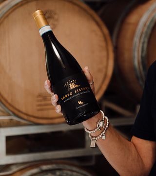 Cantine Mucci: A Legacy of Italian Winemaking