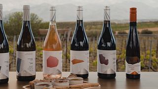 Nippen, genießen und entdecken: Weinprobe aus einer einzigen Region