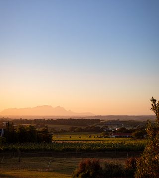 Dégustation de vins et visite du domaine viticole de Longridge