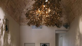 Dégustation de vins et fromages / Créations harmonieuses | Cantina Mir