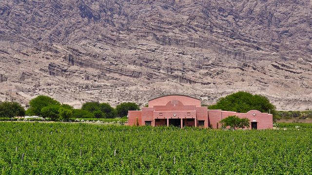 Bodega El Cese