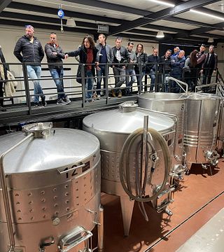 A Pele da Videira