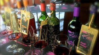 Dégustation de nos vins sous-marins
