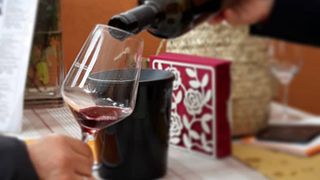 Dégustation de vins et visite à la Fattoria La Torre