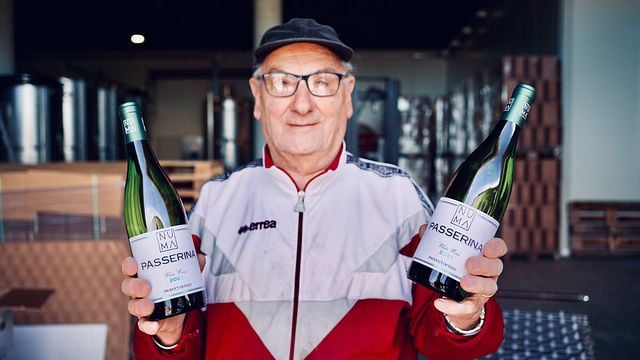 Degustazione dei vini del Piceno alla Cantina NUMA