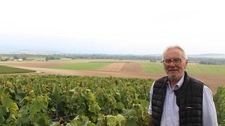 Wine Tasting and Tour at Champagne Etienne Chéré