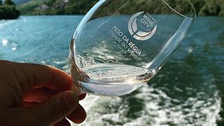 Besichtigung und Weinprobe in der Quinta de Cottas