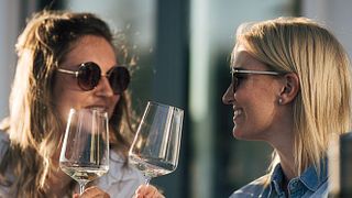 Cata de vinos y visita guiada en Weingut Dreissigacker