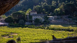 Balearic Mountain Wine & Views Tour