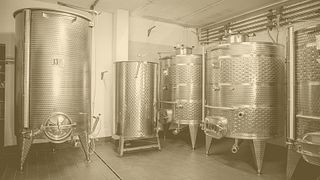 Discover Artisan Wines on an Emilia-Romagna Vineyard