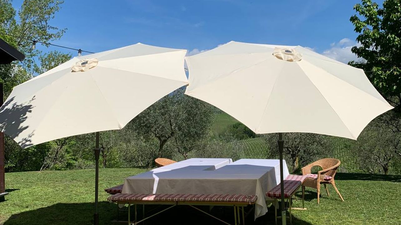 [Privé] Visite privée de Prosecco de haute qualité. Déjeuner inclus.