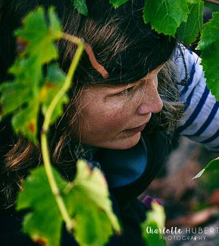 Cata de vinos y visita guiada en Domäne Vincendeau
