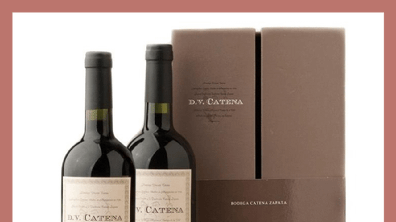 Degustazione di vini e tour a Intervino
