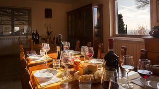 Visite de la dégustation de Buccia Nera « Tre Chianti » et « Organic EVO Oil ». 