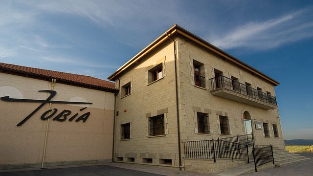 Degustazione di vini e visita alle Bodegas Tobia