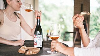 Esperienza di vino di campagna sul sentiero del Pallagrello Reale