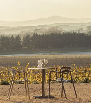 Visita e degustazione vini Celler Mas Geli