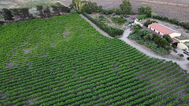 Cantina Ligios