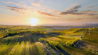 Degustação de vinhos e tour no Weingut Karin Habersack