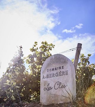 Gateway in champagne and tasting