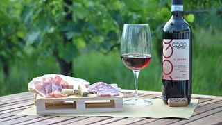 Sample Organic Wines from the Hills of Piedmont 