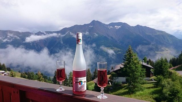 Degustazione di vini e visita alla Weingut Kreuz-Bauer
