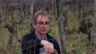 Degustação de vinhos e passeio no Château du Bloy
