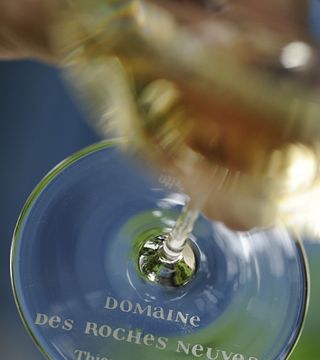 Domaine des Roches Neuves