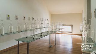 Entdecken Sie 3 Generationen der Weinherstellung: Aromen von 4 außergewöhnlichen Weinen