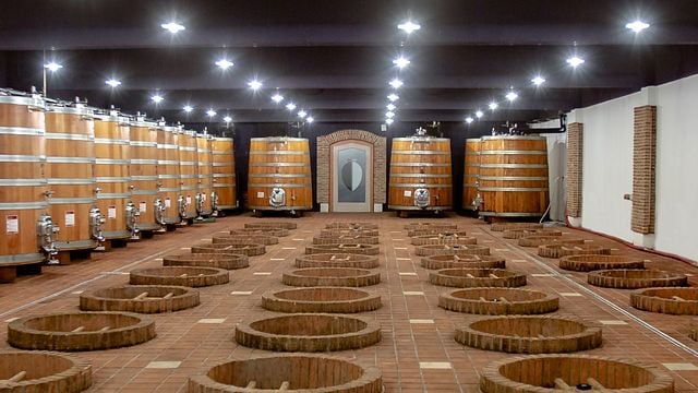 Scopri MARANI - Tour e degustazione vini