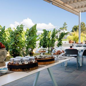 Alojamento em Wine Resort em Tenuta Di Castellaro