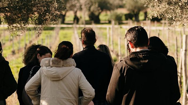 Pyrgos Vasilissis