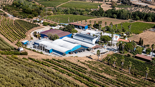 Pique-nique avec du vin à Quinta Da Plansel