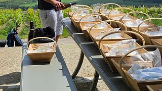 Cata de champán y picnic en el viñedo de Champagne Oriol-Dérouillat