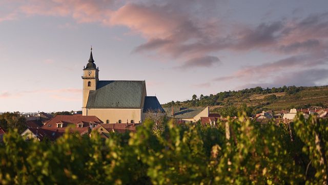 Degustação de vinhos e queijos - prato de carnes
