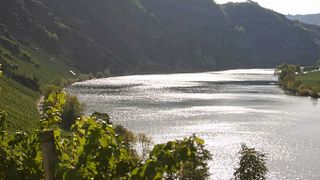 Hoffmann-Simon Winery