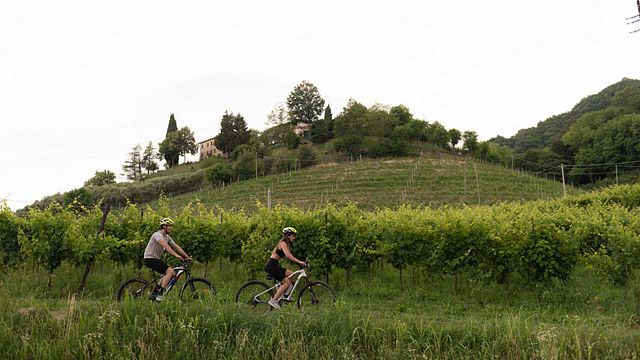 Bike tour at Ville di Arfanta