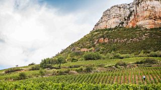 Domaine Gaillard