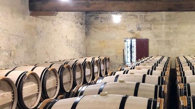 Visita y Cata: Del Viñedo a la Copa, Pasando por las Bodegas